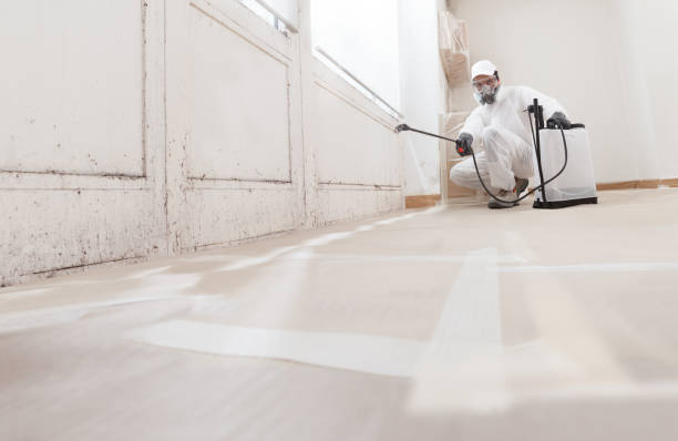 Certified remediation work in Texas, TX